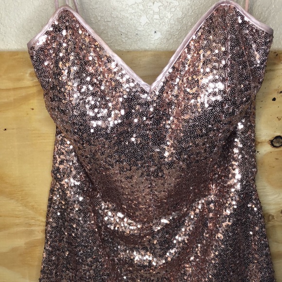 Beautiful Rose glitter dress zipper on back - Picture 2 of 4